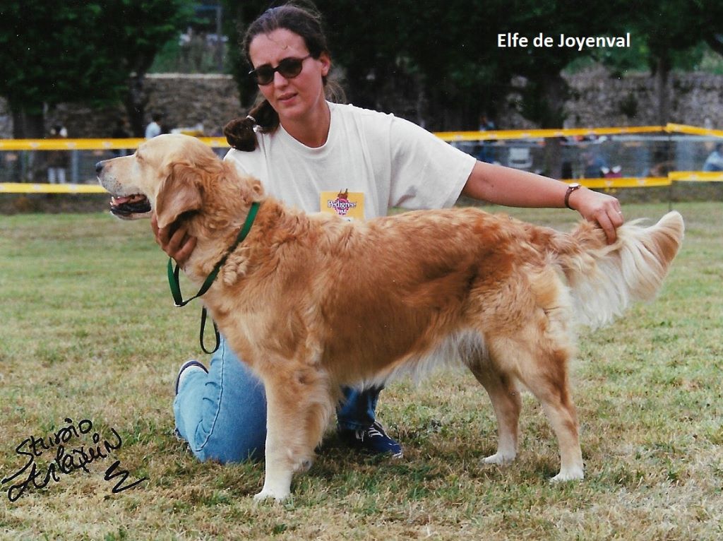 Elfe de Joyenval